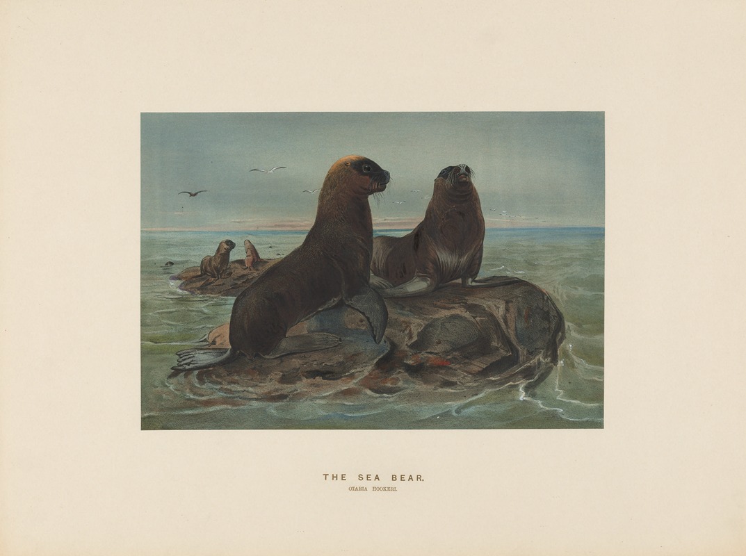 Joseph Wolf - The Sea-bear