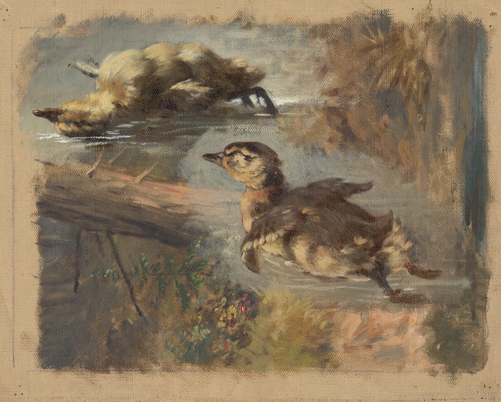 Friedrich Carl von Scheidlin - Study of Ducks on the Water I.