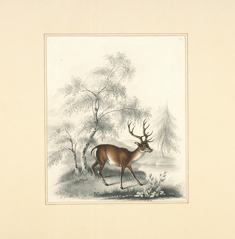 Henry Thomas Alken - A deer