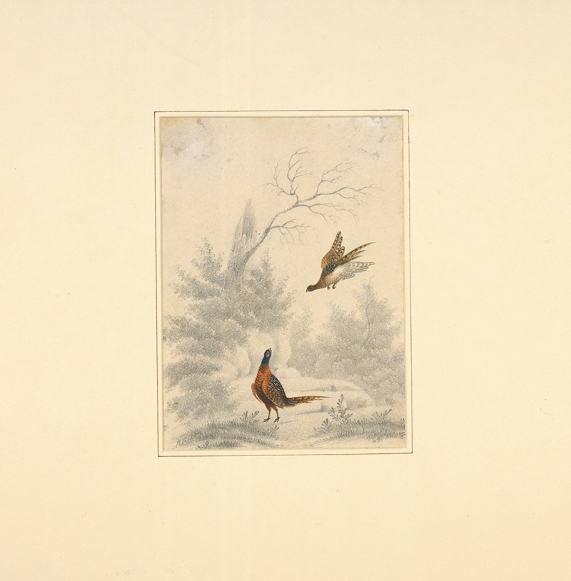 Henry Thomas Alken - Sketch of pheasant, one flying and the other on the ground