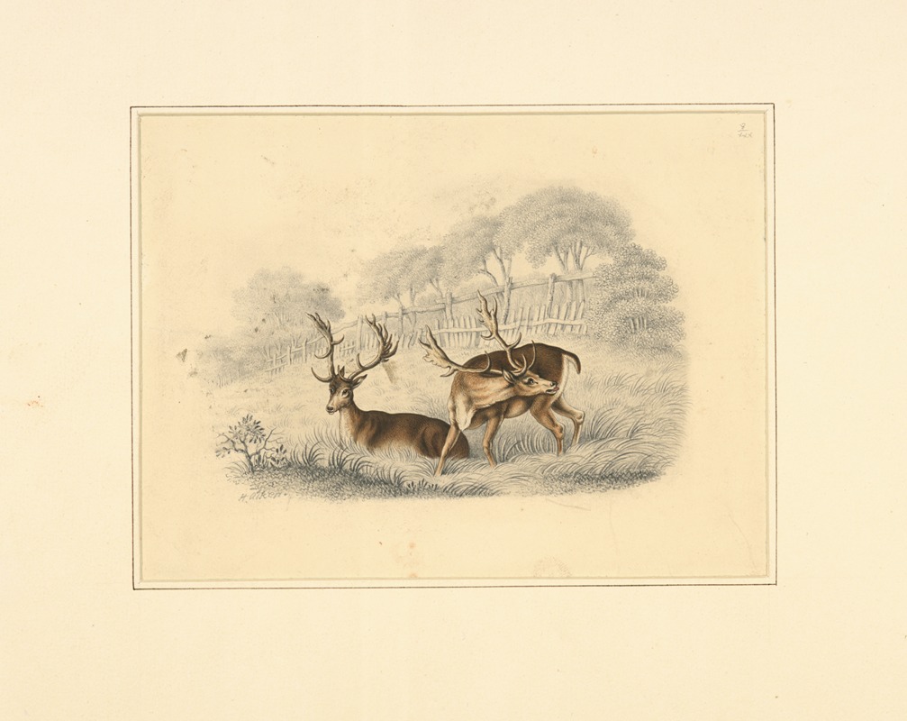 Henry Thomas Alken - Two deer, near a running fence