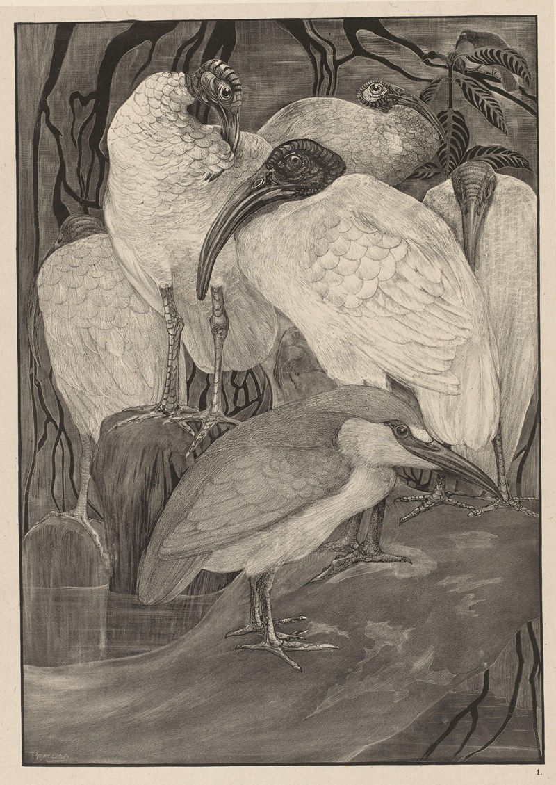 Theo van Hoytema - Vijf ibissen en een kwak