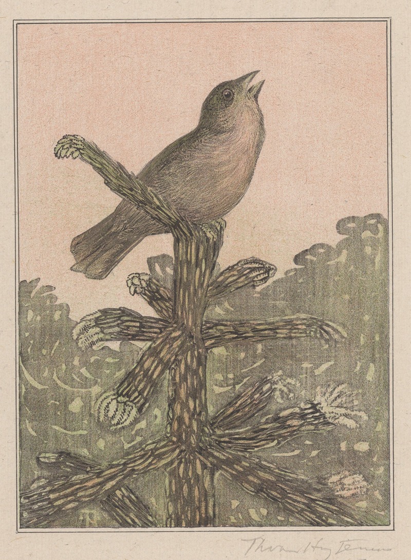 Theo van Hoytema - Zingende vogel op naaldboom