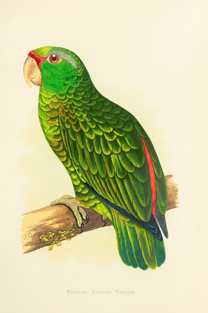 Alexander Francis Lydon - Festive Amazon Parrot