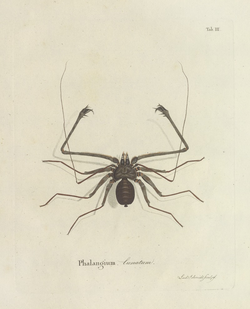 Johann Friedrich Wilhelm Herbst - Natursystem der ungeflügelten insekten Pl.03