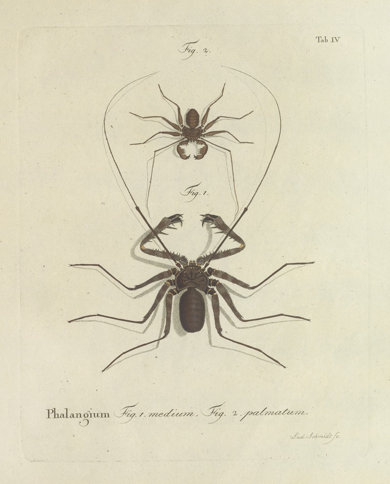 Johann Friedrich Wilhelm Herbst - Natursystem der ungeflügelten insekten Pl.04