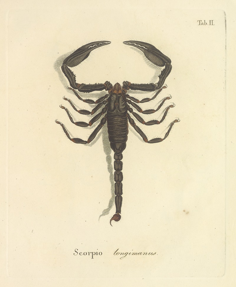 Johann Friedrich Wilhelm Herbst - Natursystem der ungeflügelten insekten Pl.18