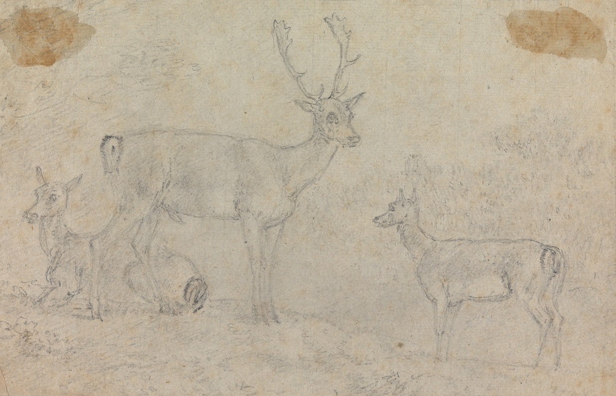 Sawrey Gilpin - A Buck and Two Deer