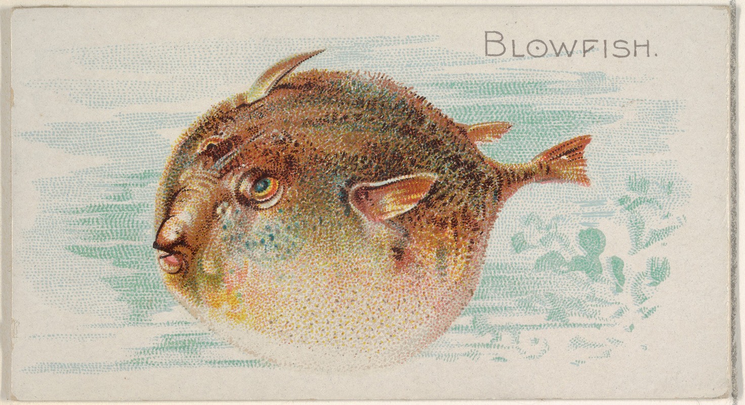 Allen & Ginter - Blowfish