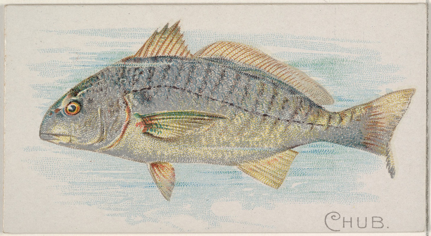 Allen & Ginter - Chub