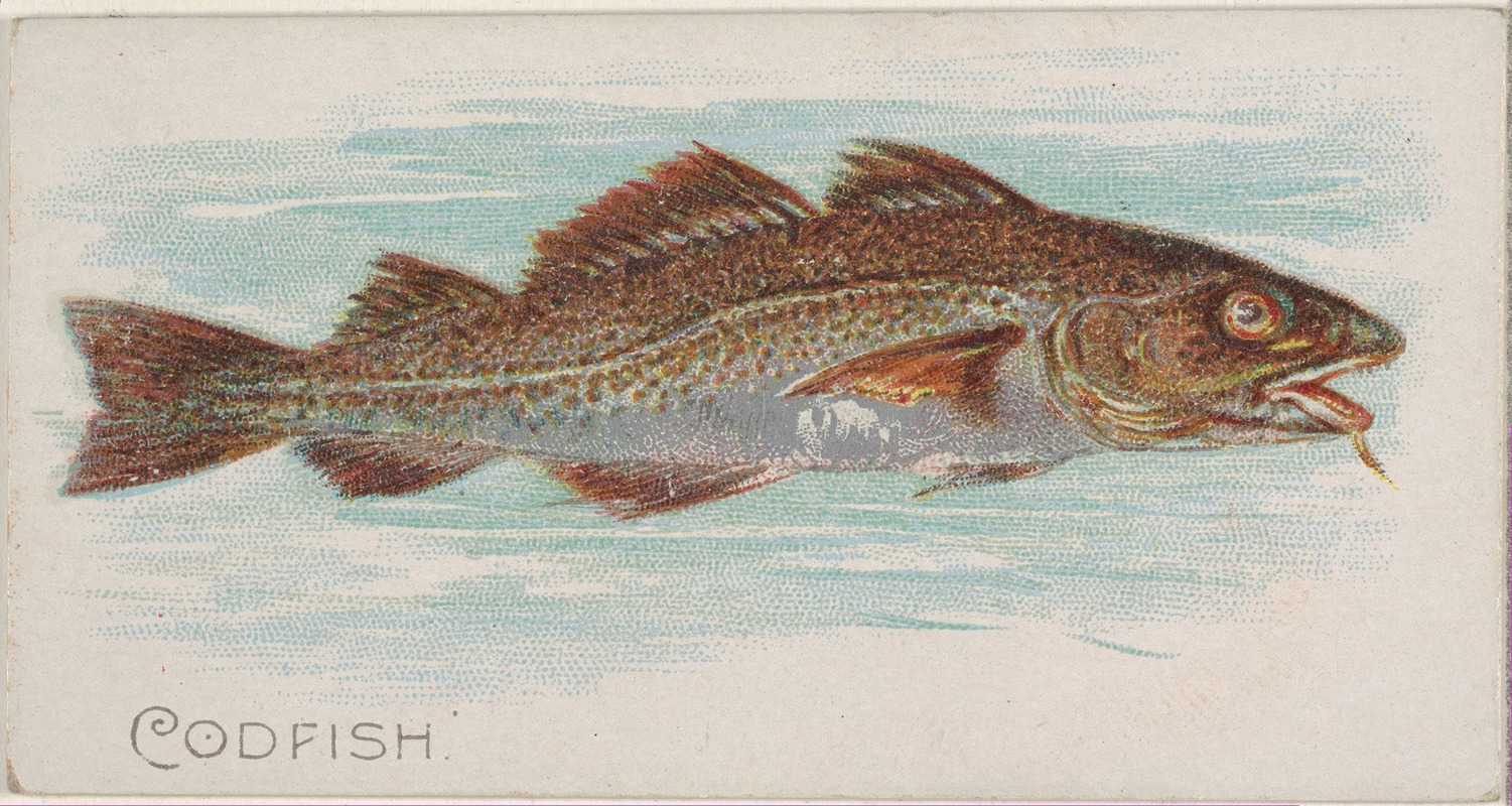 Allen & Ginter - Codfish