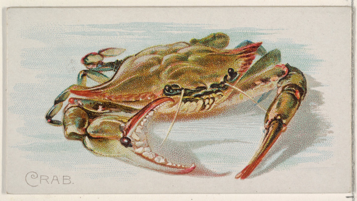 Allen & Ginter - Crab