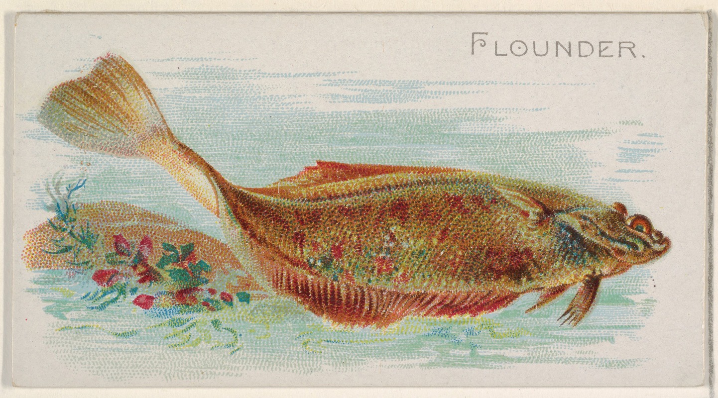 Allen & Ginter - Flounder