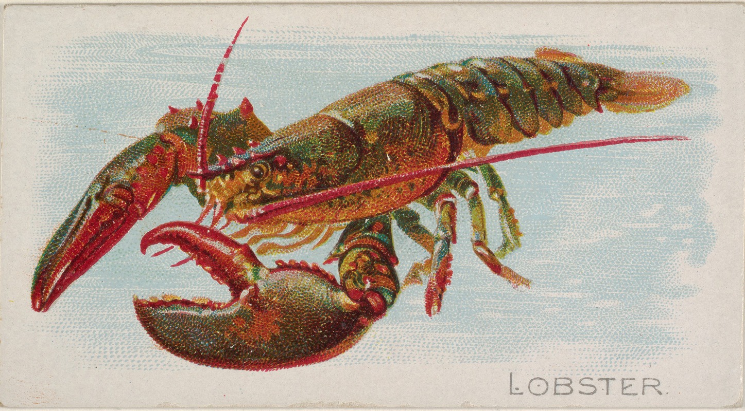 Allen & Ginter - Lobster