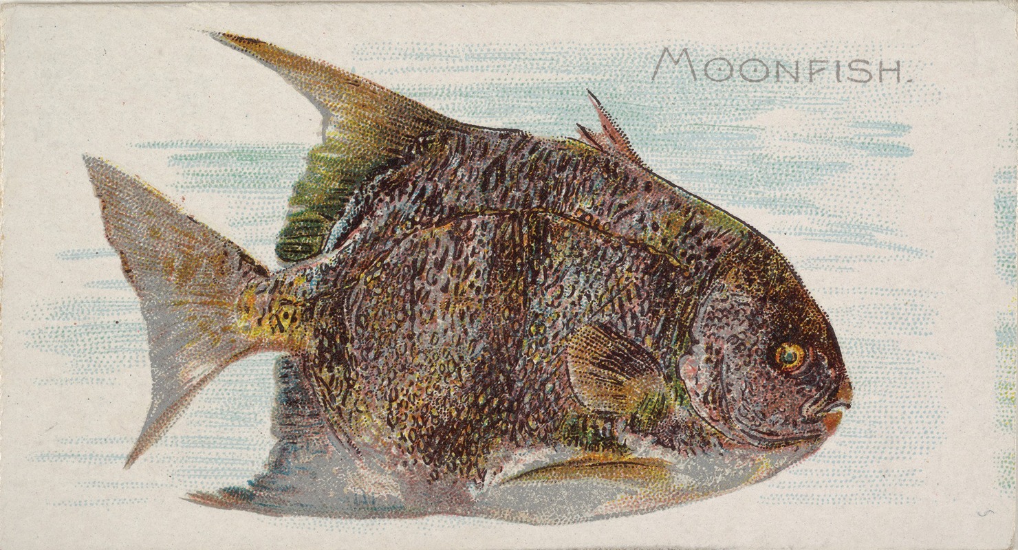 Allen & Ginter - Moonfish