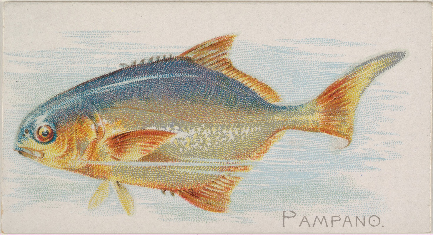 Allen & Ginter - Pampano