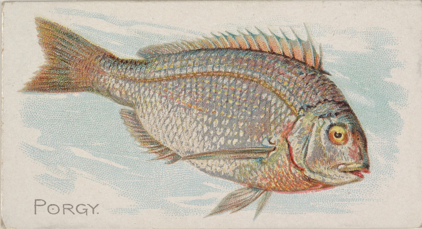 Allen & Ginter - Porgy