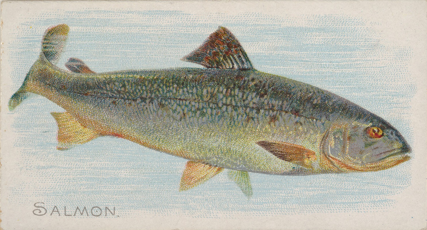 Allen & Ginter - Salmon