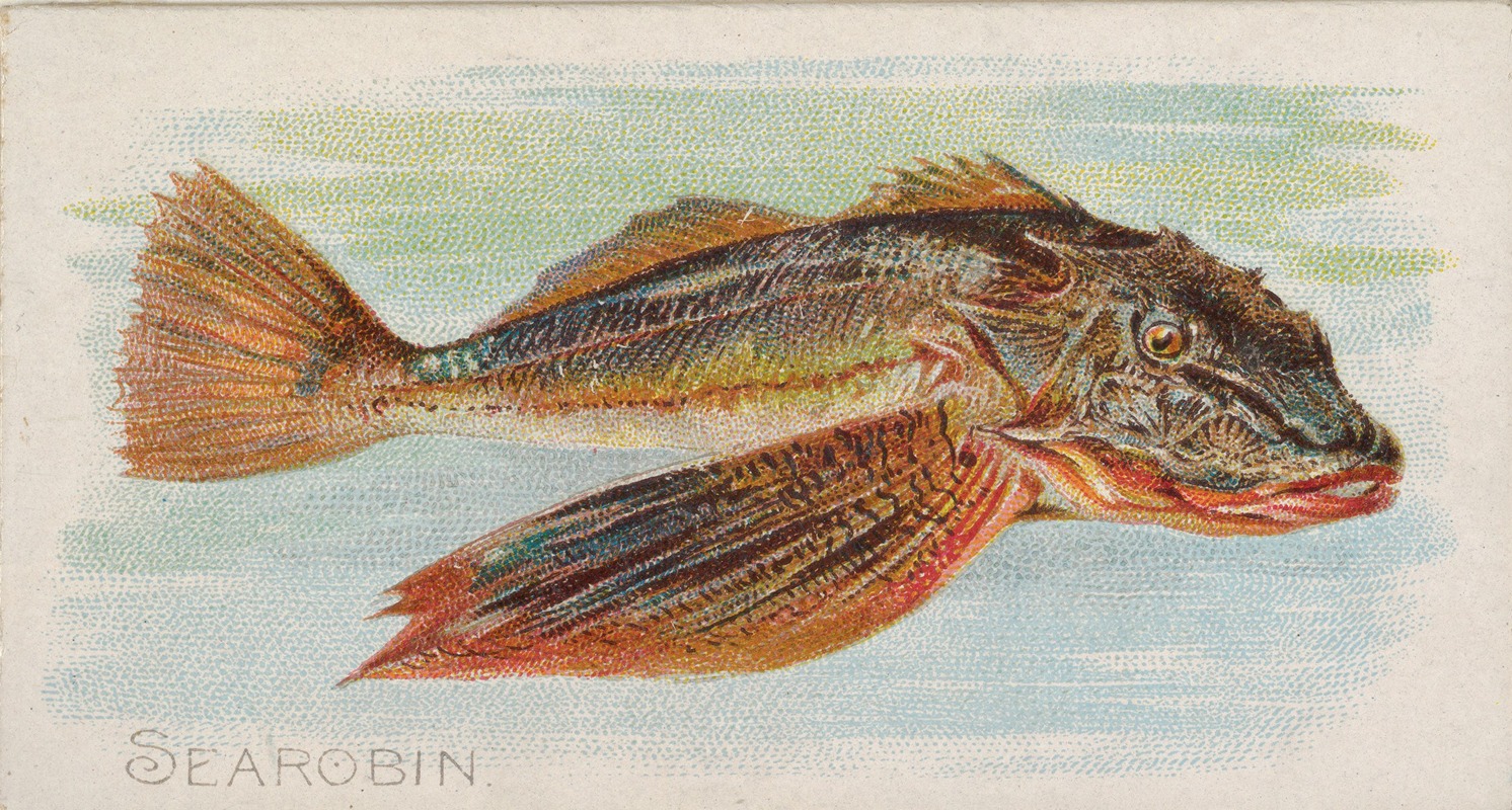 Allen & Ginter - Sea Robin