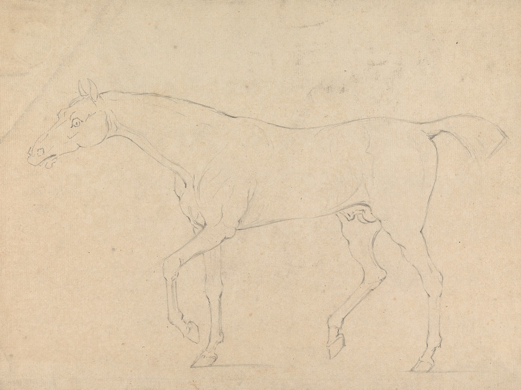 Sawrey Gilpin - A Horse