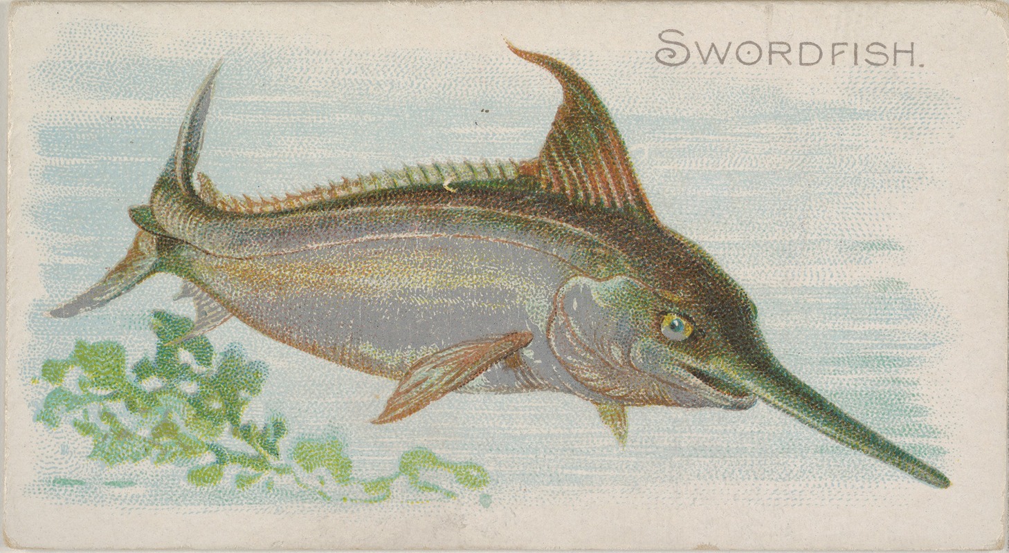 Allen & Ginter - Swordfish