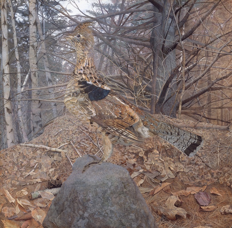 Gerald Thayer - Male Ruffed Grouse in the Forest