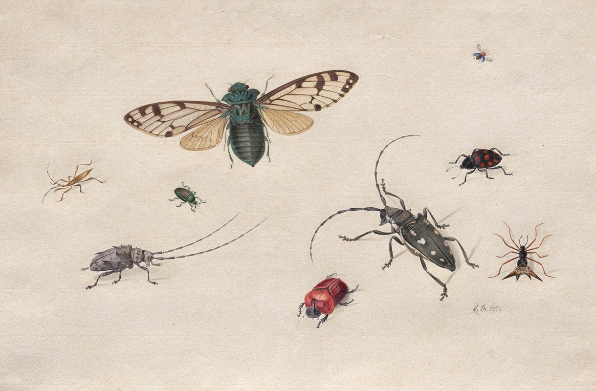 Johannes van Bronckhorst - Studies of Insects