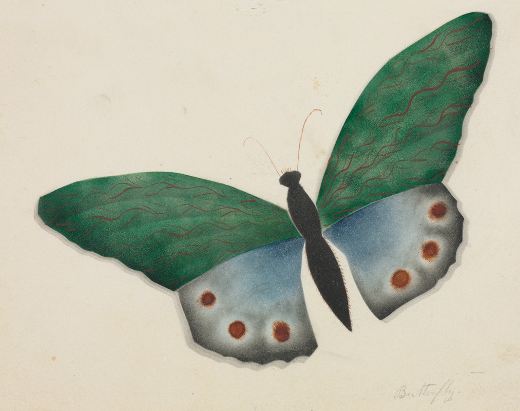 Mary Altha Nims - Butterfly