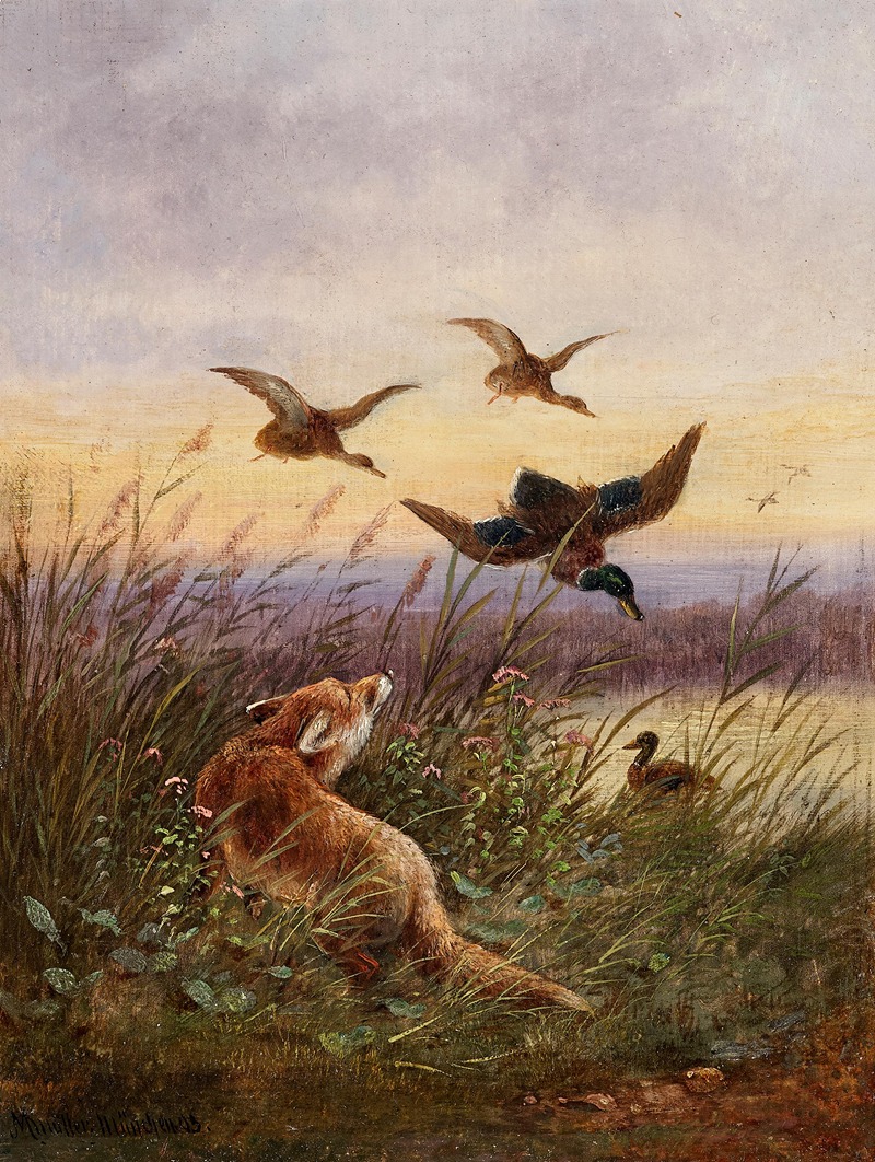 Moritz Müller - A Fox Hunting Ducks