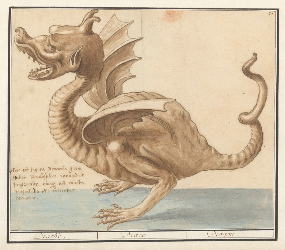 Anselmus Boëtius de Boodt - Draak Dracke Draco Dragon