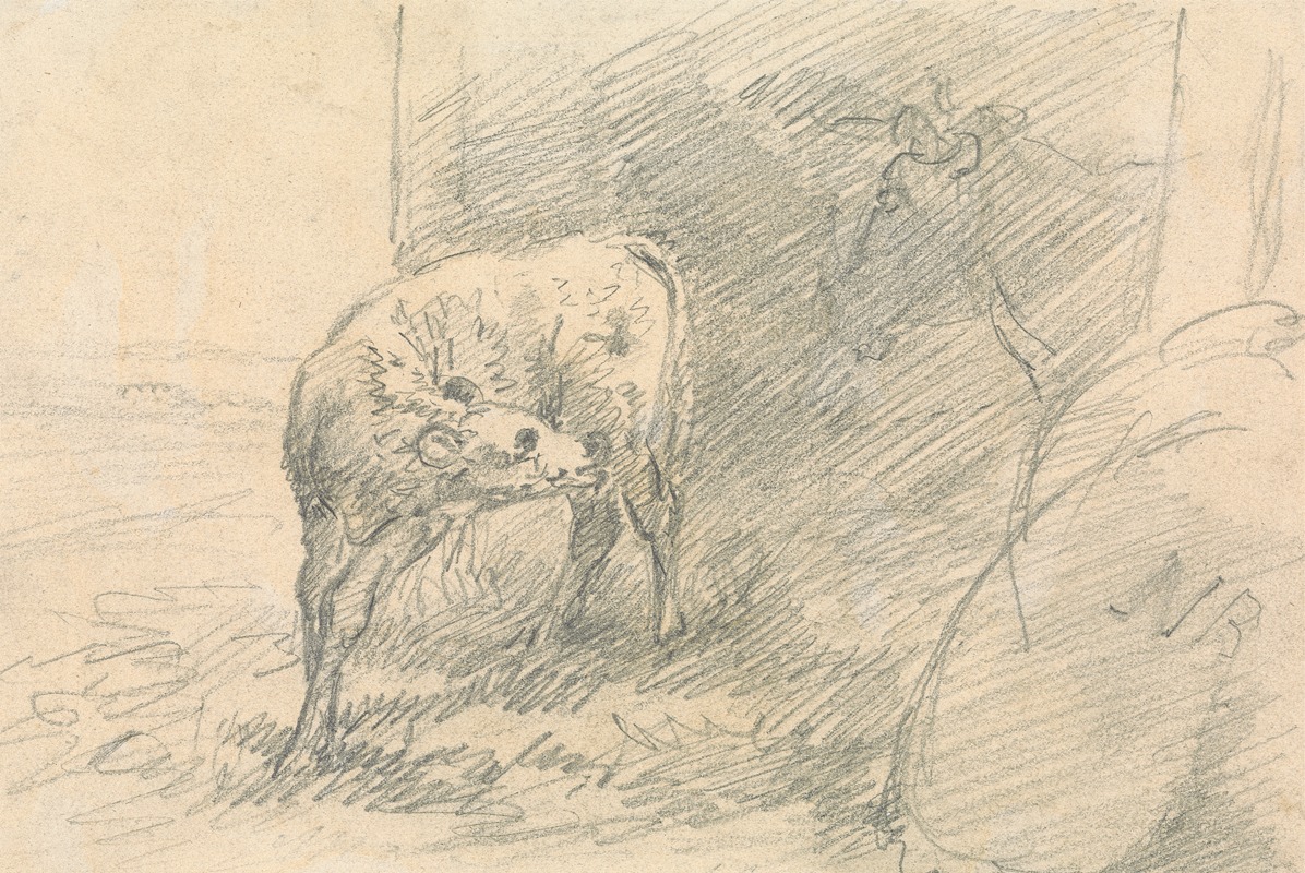 Sawrey Gilpin - Calf, with Head of a Cow