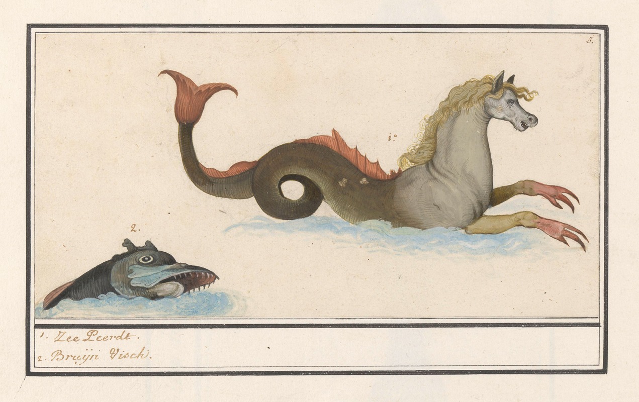 Anselmus Boëtius de Boodt - Hippocampus en vis (fantasiedieren) 1. Zee-Peerdt 2. Bruijn Visch