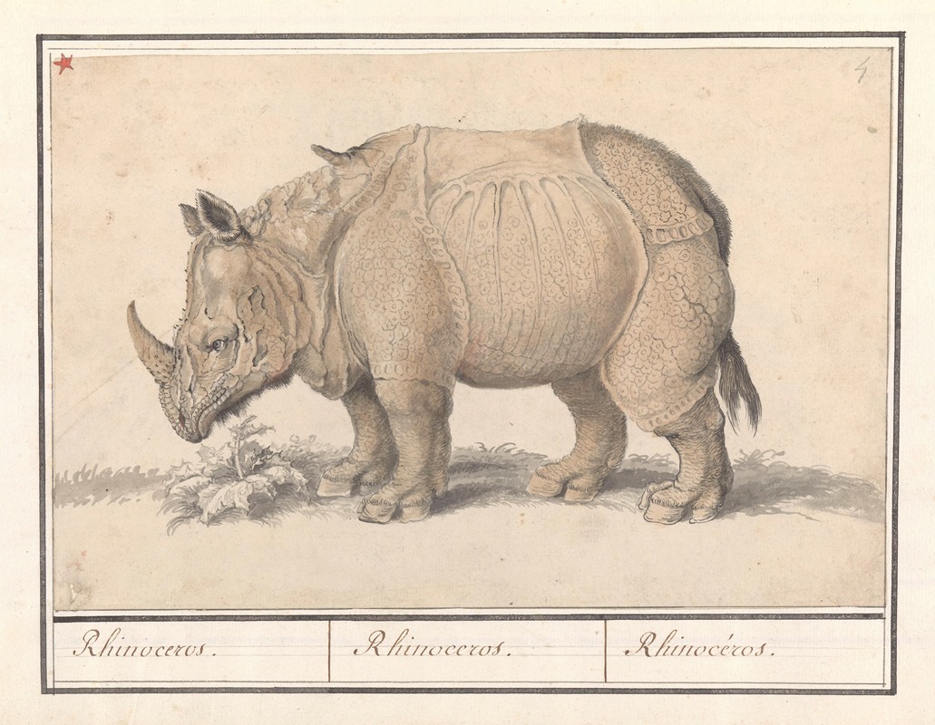 Anselmus Boëtius de Boodt - Indische neushoorn (Rhinoceros unicornis) Rhinocerus. Rhinoceros. Rhinocéros..