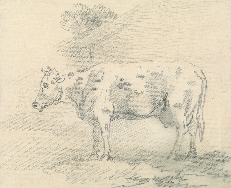 Sawrey Gilpin - Cow