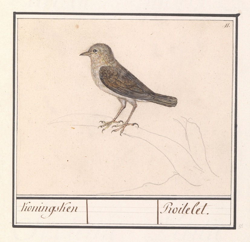 Anselmus Boëtius de Boodt - Vogeltje, mogelijk een winterkoninkje (Troglodytes troglodytes)