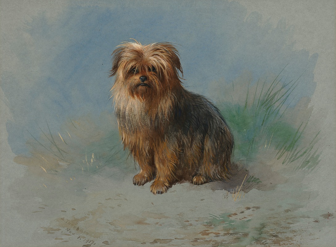 Archibald Thorburn - A Norfolk terrier