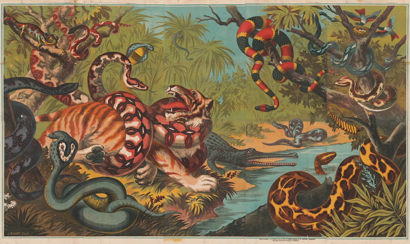 J.W. Hart - Jungle serpent strangling animal