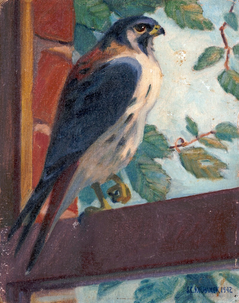 James C. Kulhanek - American Kestrel