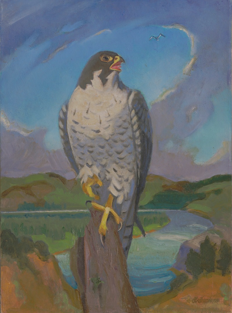 James C. Kulhanek - Falco Peregrinus