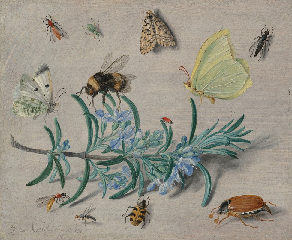 Jan Van Kessel The Elder - Insects and a Sprig of Rosemary