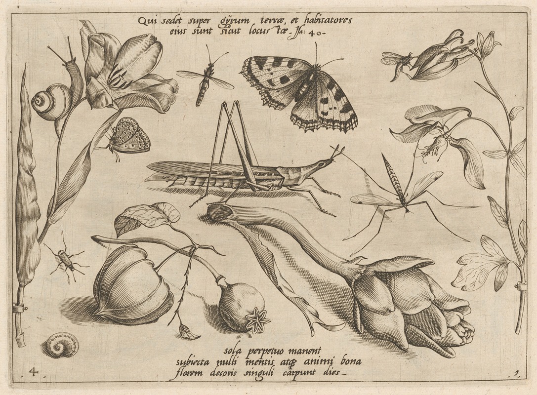 Joris Hoefnagel - Archetypa studiaque patris Georgii Hoefnagelii Pl.07