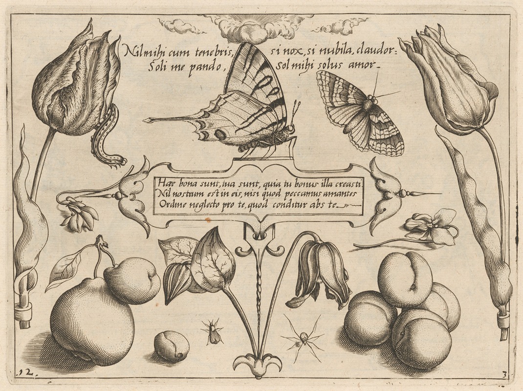 Joris Hoefnagel - Archetypa studiaque patris Georgii Hoefnagelii Pl.29