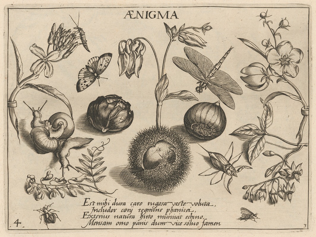 Joris Hoefnagel - Archetypa studiaque patris Georgii Hoefnagelii Pl.32