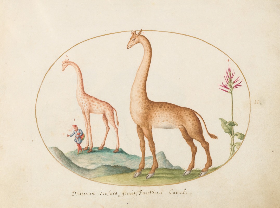 Joris Hoefnagel - Plate 02; Two Giraffes with an Attendant