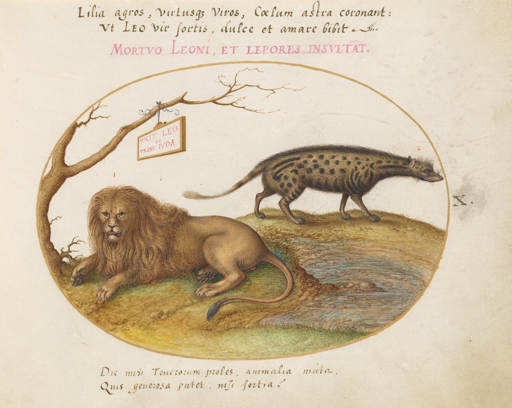 Joris Hoefnagel - A Lion and a Civet Cat