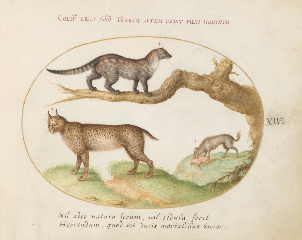 Joris Hoefnagel - A Civet, a Lynx, and a Hyena Eating a Dog