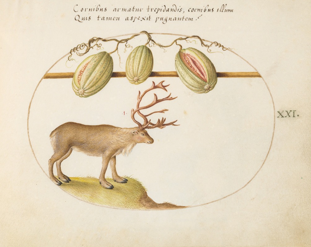 Joris Hoefnagel - Reindeer with Melons