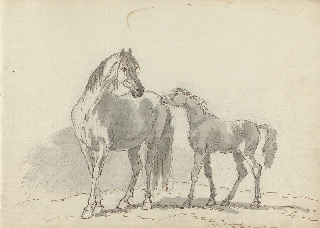Sawrey Gilpin - Fourty-three Studies of Horses and Riders Pl.08