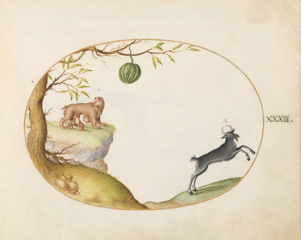 Joris Hoefnagel - A ‘Simivulpa’ (Opossum) and an Ibex