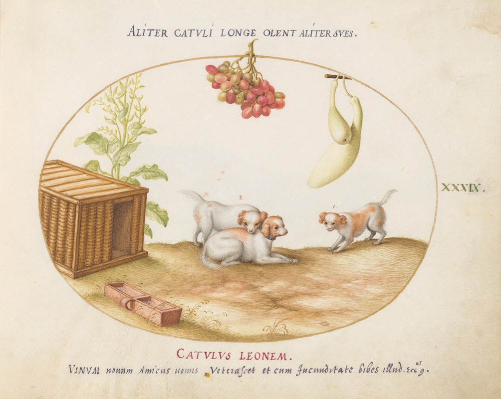 Joris Hoefnagel - Three Puppies with a Crate and a Bunch of Grapes